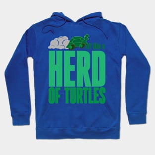 Off like a herd of turtles Hoodie